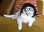     
: f733ac5e3072.jpg
: 11
:	44.8 
ID:	956781