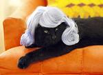     
: f8bcb75a1778.jpg
: 9
:	33.1 
ID:	956783
