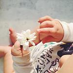     
: image.jpg
: 97
:	85.5 
ID:	9568631