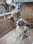     
: VK2YjmdJ6L0.jpg
: 5
:	123.8 
ID:	9570963