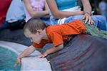     
: IMG_5253.jpg
: 30
:	57.4 
ID:	95721