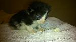     
: DSC_0733.jpg
: 95
:	97.1 
ID:	9572661