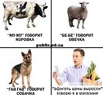     
: uploadfromtaptalk1426714724730.jpeg
: 35
:	62.5 
ID:	9573404