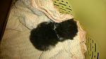     
: DSC_0724.jpg
: 25
:	107.6 
ID:	9574510