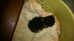     
: DSC_0726.jpg
: 13
:	81.8 
ID:	9574511