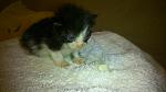     
: DSC_0732.jpg
: 14
:	84.2 
ID:	9574512