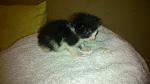     
: DSC_0731.jpg
: 14
:	83.4 
ID:	9574513