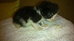     
: DSC_0730.jpg
: 15
:	83.3 
ID:	9574514