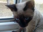     
: 2013-08-11 15.19.33-1.jpg
: 12
:	53.8 
ID:	9574984