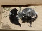     
: UKFMrwA30V0.jpg
: 12
:	244.6 
ID:	9578410