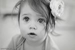     
: image.jpg
: 93
:	47.3 
ID:	9579426