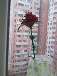     
: 20032015579.jpg
: 54
:	99.4 
ID:	9581188