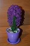     
: DSC_0705.jpg
: 12
:	84.4 
ID:	9583019