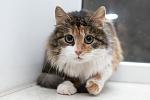     
: DSC_1433.jpg
: 41
:	289.8 
ID:	9583133