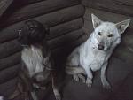     
: p4vA8hOZ6bg.jpg
: 9
:	86.6 
ID:	9584519