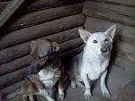     
: tMprN9dJfzE.jpg
: 7
:	127.3 
ID:	9584520