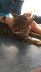     
: EQA5GL1Yuwg.jpg
: 16
:	35.7 
ID:	9590483