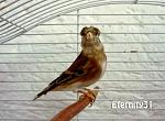     
: hybrid1.jpg
: 11
:	86.8 
ID:	9590637