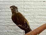     
: hybrid54.jpg
: 15
:	104.8 
ID:	9590638