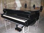     
: P1010865.jpg
: 9
:	156.9 
ID:	9592386