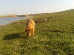     
: 2015-03-22 14.50.30.jpg
: 11
:	207.6 
ID:	9594419