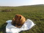     
: 2015-03-22 14.57.57.jpg
: 12
:	171.8 
ID:	9594422