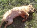     
: 2015-03-22 14.55.35.jpg
: 11
:	271.6 
ID:	9594425