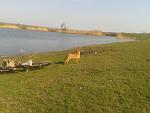     
: 2015-03-22 14.52.41.jpg
: 13
:	175.3 
ID:	9594427