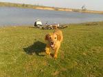     
: 2015-03-22 14.52.14.jpg
: 11
:	225.5 
ID:	9594429