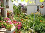     
: DSC00992.jpg
: 9
:	169.7 
ID:	9597642