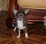     
: IMG_6744.jpg
: 16
:	105.3 
ID:	9603749