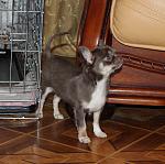     
: IMG_6745.jpg
: 19
:	127.9 
ID:	9603751