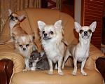     
: IMG_6776.jpg
: 15
:	118.5 
ID:	9603753