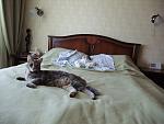     
: DSCF5123.jpg
: 28
:	122.1 
ID:	9604897
