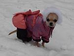     
: RSCN3763.jpg
: 16
:	52.8 
ID:	9607724