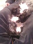     
: sleeeeep.jpg
: 24
:	137.0 
ID:	960795