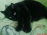     
: DSC00011.jpg
: 17
:	102.9 
ID:	960870