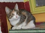     
: hqRmlnLCzYY.jpg
: 14
:	35.1 
ID:	9609678