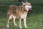     
: VGV_1867.jpg
: 7
:	141.4 
ID:	9609889