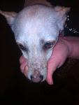     
: 3rf6RMH7i_s.jpg
: 7
:	75.9 
ID:	9610269