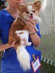     
: 134179425_1_644x461_ochen-porodnyy-dlinnosherstnyy-malchik-chihuahua-import-dlya-vyazki-odessa_r.jpg
: 29
:	18.5 
ID:	9611445