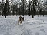     
: IMG_4854.jpg
: 8
:	223.2 
ID:	9612607