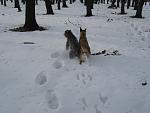     
: IMG_4848.jpg
: 9
:	89.9 
ID:	9612608