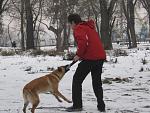     
: IMG_4801.jpg
: 9
:	147.1 
ID:	9612610