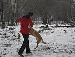     
: IMG_4802.jpg
: 11
:	176.7 
ID:	9612614