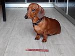     
: 2015322162100.jpg
: 20
:	86.3 
ID:	9614203