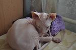     
: DSC_0919.jpg
: 6
:	84.9 
ID:	9614574