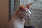     
: DSC_0914.jpg
: 8
:	68.5 
ID:	9614575