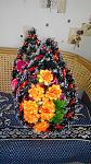     
: 2015326162954.jpg
: 13
:	146.9 
ID:	9614682