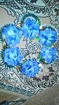     
: 2015326185533.jpg
: 17
:	110.5 
ID:	9614683